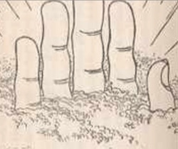 お釈迦様の手のひら.jpg