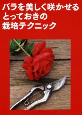 バラを美しく咲かせるとっておきの栽培テクニック